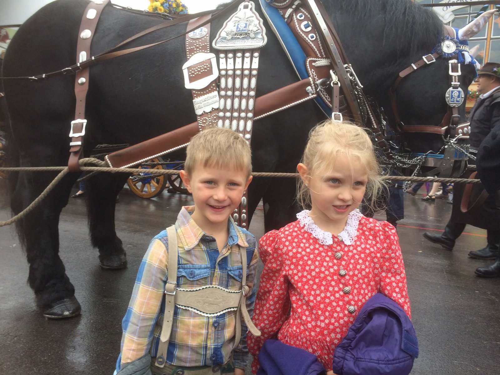 2016 – ... auf vielen Wegen