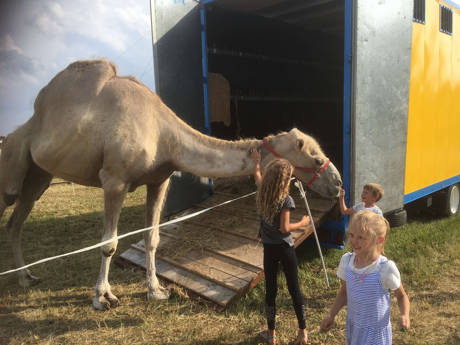 2017 – Die Ferne so nah