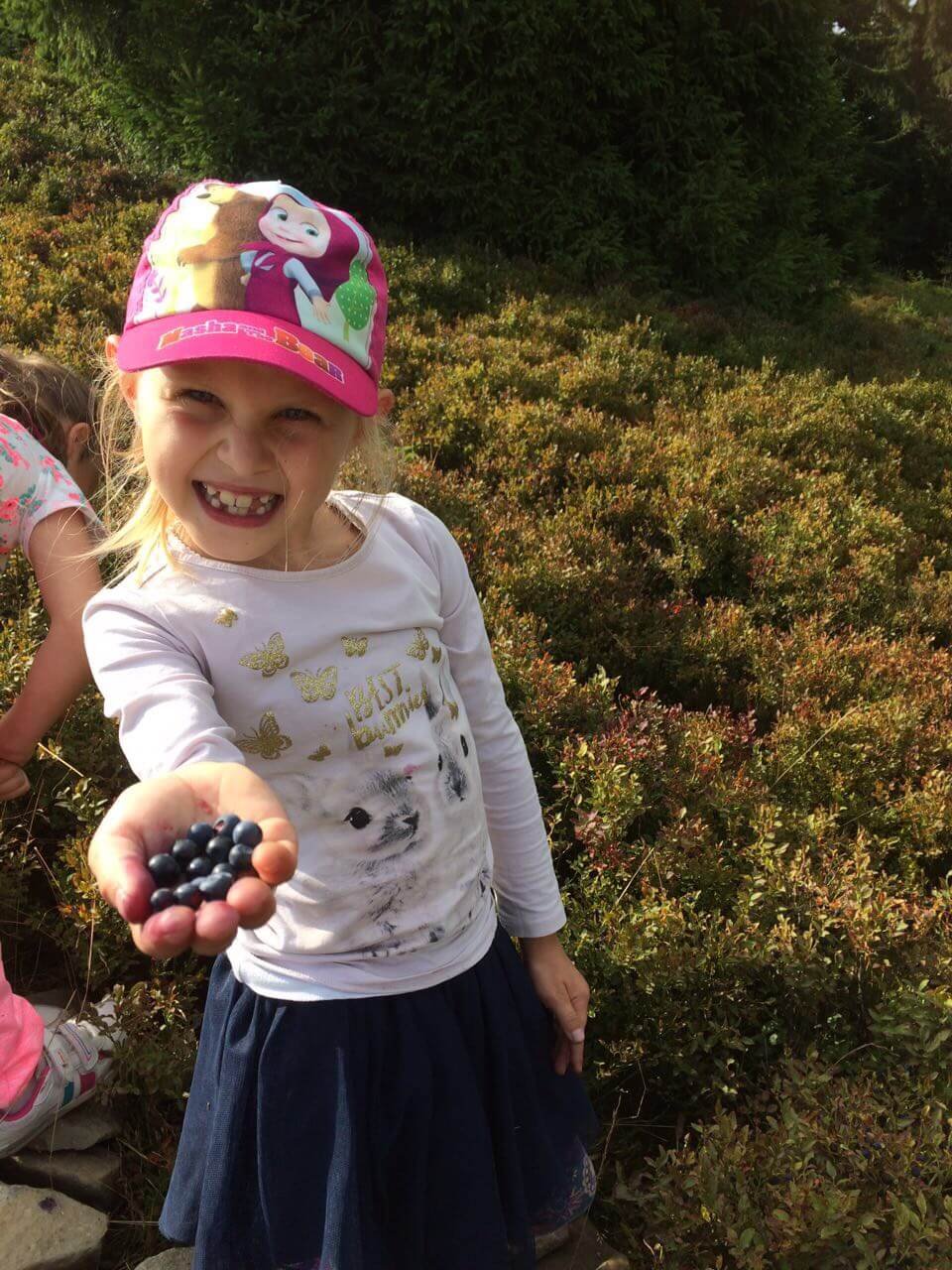 2017 – Lovely Jagody