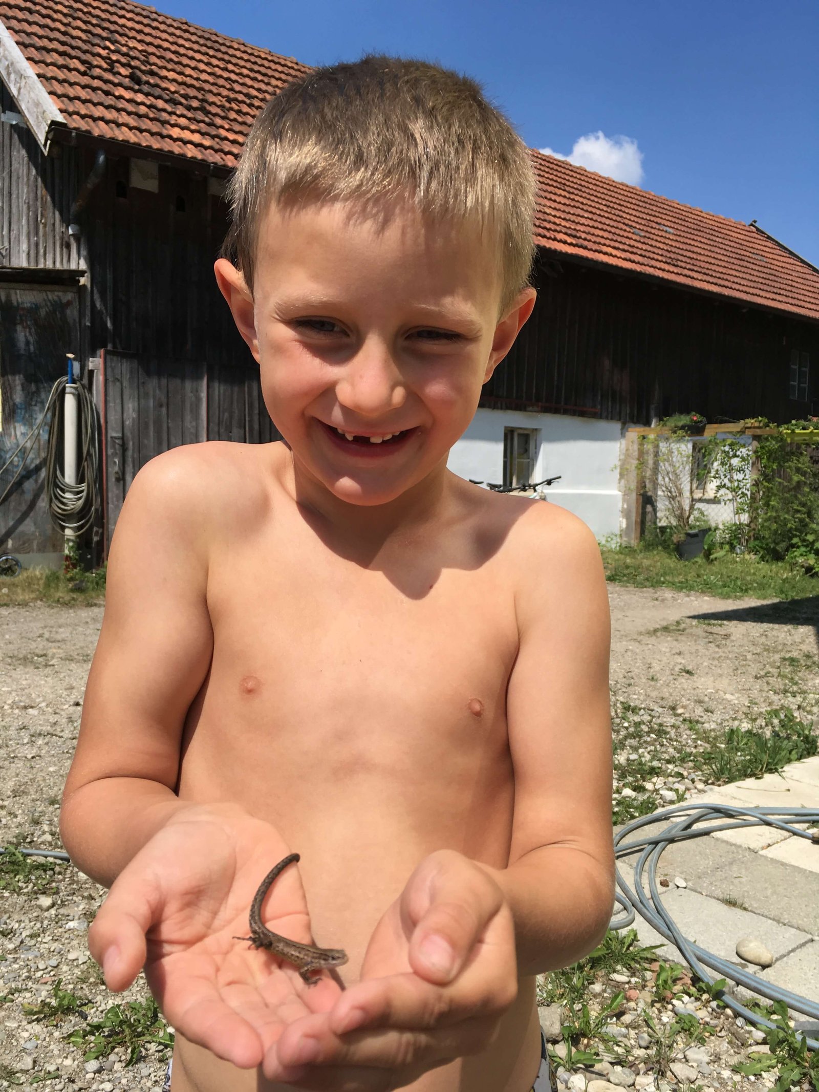 2018 – Schoene Schoepfung