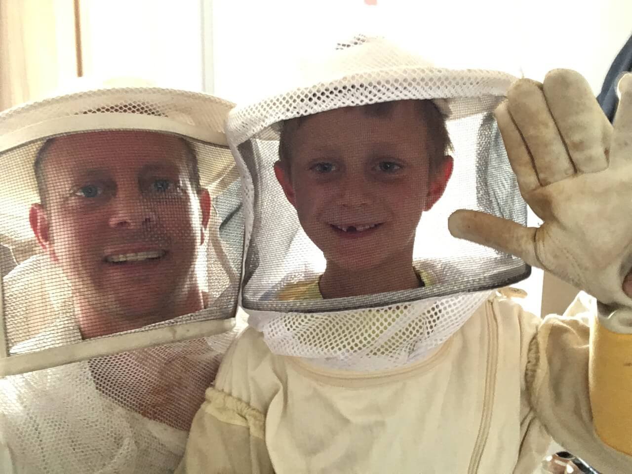 2018 – Check out bees